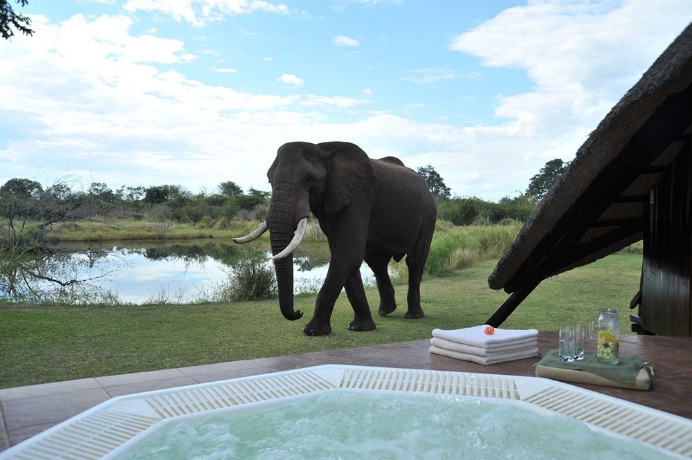 Three Cities Thorntree River Lodge Livingstone Exterior photo
